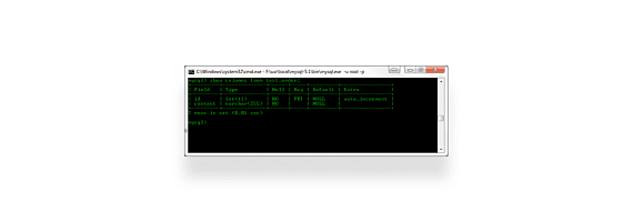 Output data to the console without Root